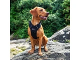 Mountain Paws Dog Harness - Black