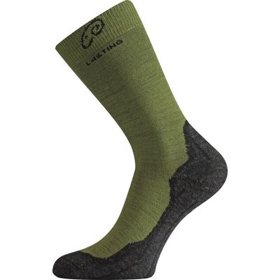 Socks Lasting WHI 699 - green